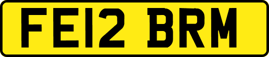 FE12BRM