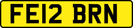 FE12BRN