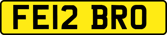 FE12BRO