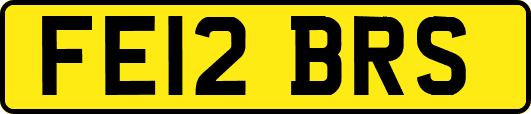 FE12BRS