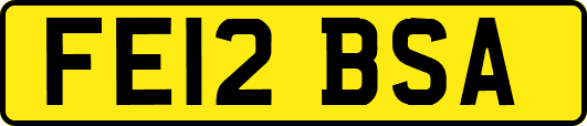 FE12BSA