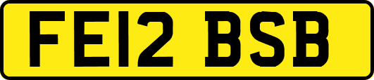 FE12BSB