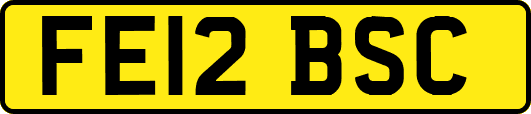 FE12BSC