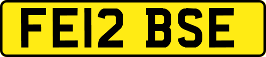 FE12BSE