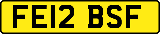FE12BSF