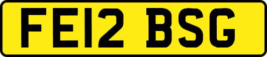 FE12BSG