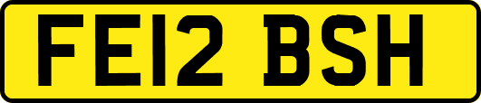 FE12BSH