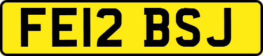 FE12BSJ