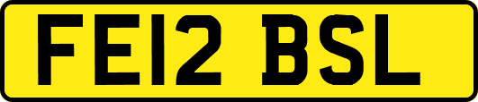 FE12BSL