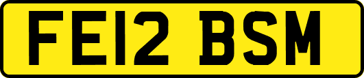 FE12BSM