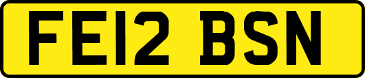 FE12BSN