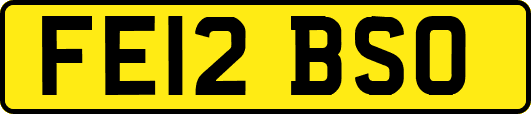 FE12BSO