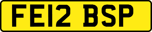 FE12BSP