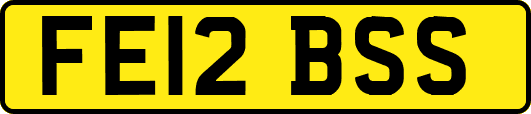 FE12BSS