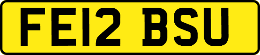 FE12BSU