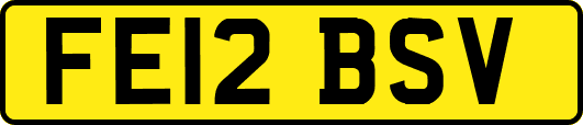 FE12BSV