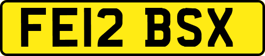 FE12BSX