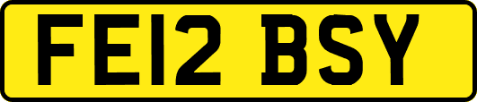 FE12BSY