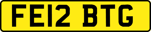 FE12BTG