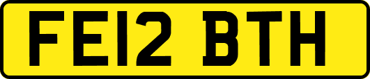 FE12BTH