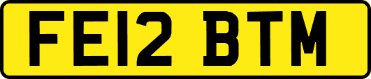 FE12BTM