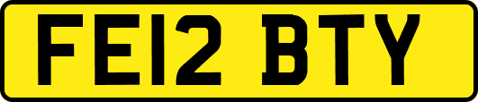 FE12BTY