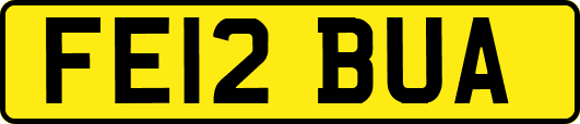 FE12BUA