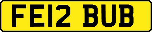FE12BUB