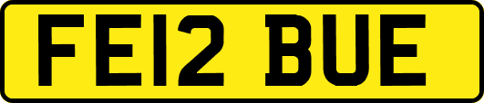 FE12BUE