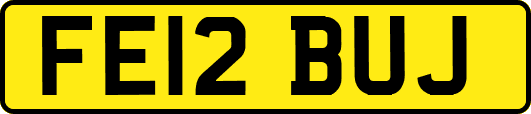 FE12BUJ
