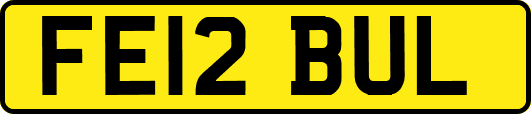 FE12BUL