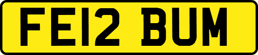 FE12BUM
