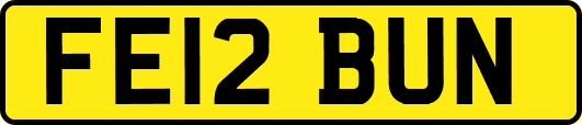 FE12BUN