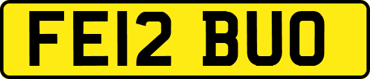 FE12BUO