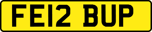 FE12BUP
