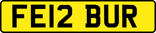 FE12BUR