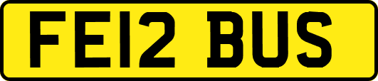 FE12BUS