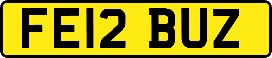 FE12BUZ