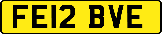 FE12BVE