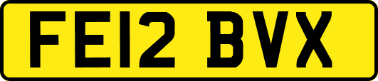 FE12BVX