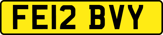 FE12BVY