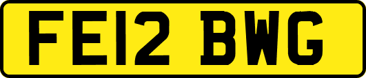FE12BWG
