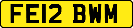 FE12BWM