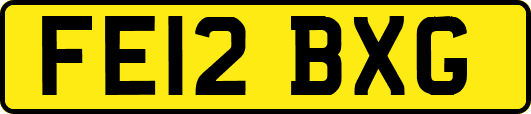 FE12BXG