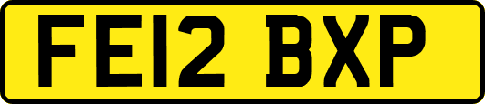 FE12BXP