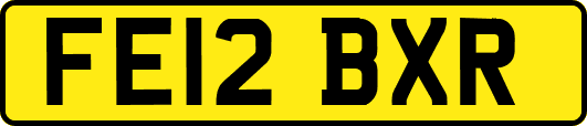 FE12BXR