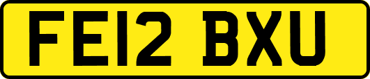 FE12BXU