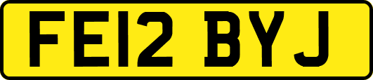 FE12BYJ
