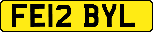 FE12BYL