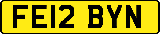 FE12BYN